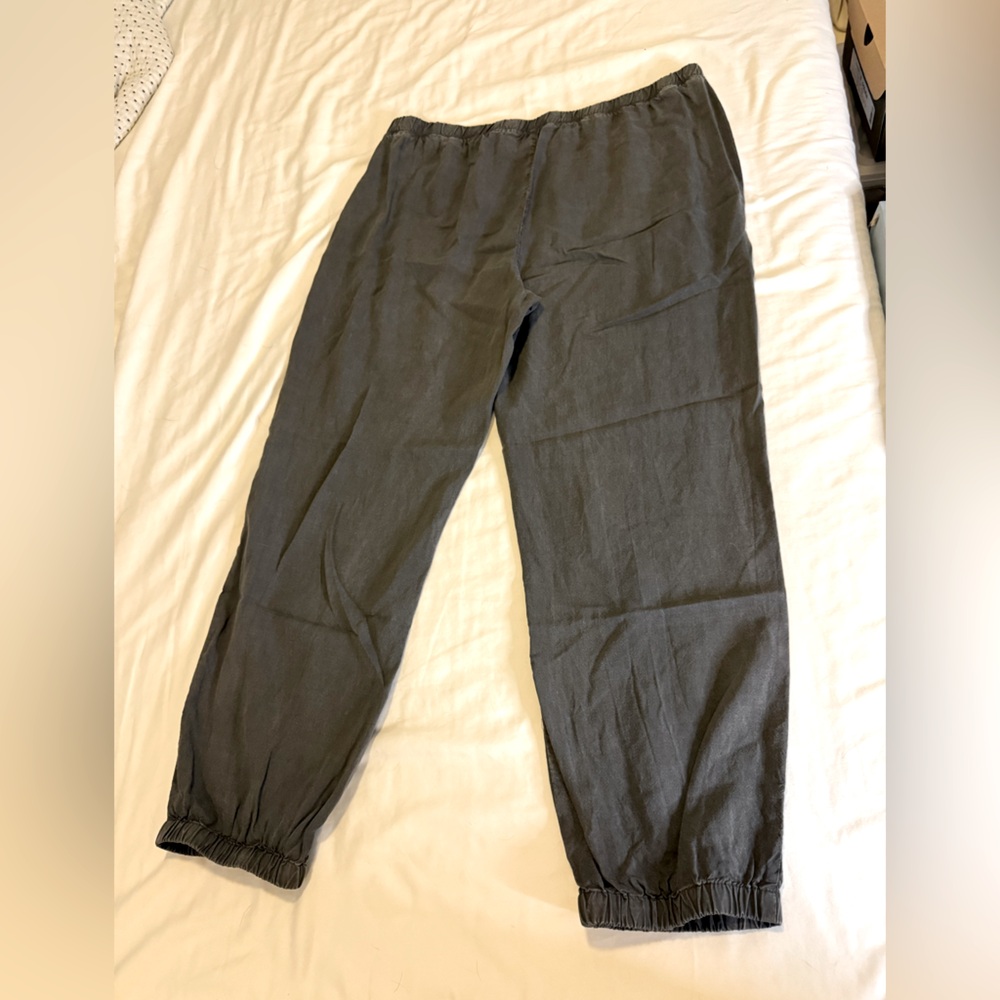 Cloth & Stone Charcoal tencel jogger style pants